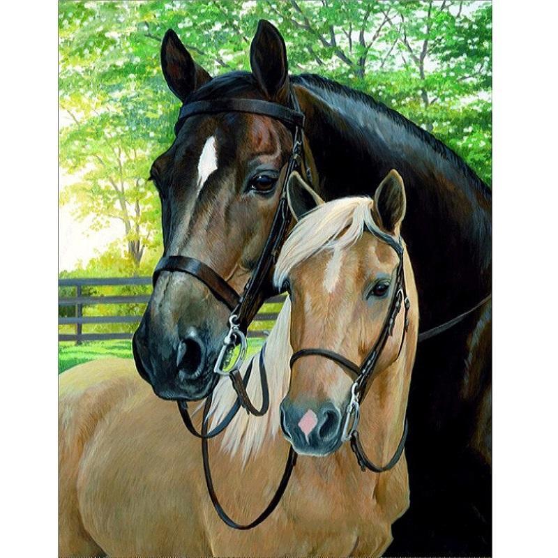 Bruin en zwart paard Diamond painting | Eigen foto | Dieren | Kopen | Dikke dames | Action | Nederland | Steentjes | Diamant | De Diamond Painter