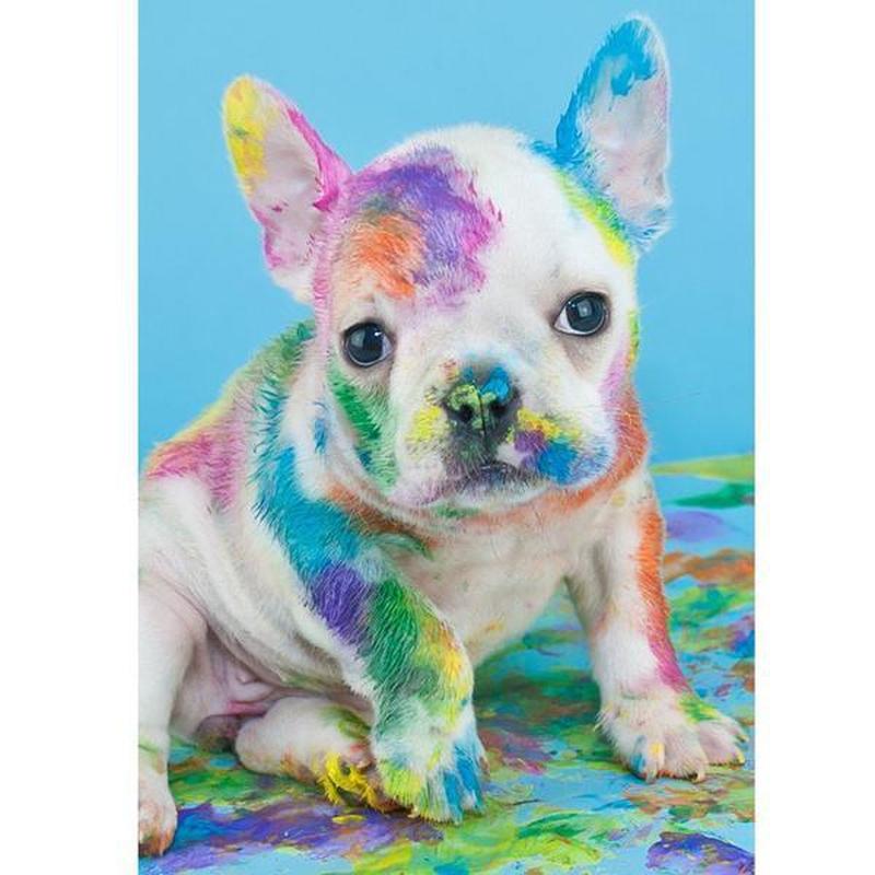 Hond met verf Diamond painting | Eigen foto | Dieren | Kopen | Dikke dames | Action | Nederland | Steentjes | Diamant | De Diamond Painter