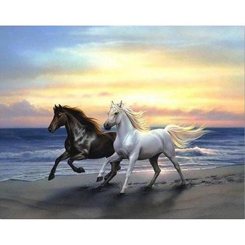 Paarden op strand Diamond painting | Eigen foto | Dieren | Kopen | Dikke dames | Action | Nederland | Steentjes | Diamant | De Diamond Painter